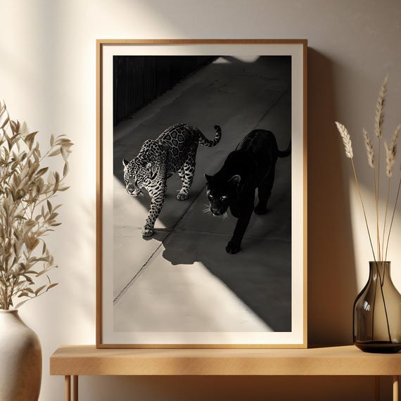 Leopard Black and White Animal Poster Print