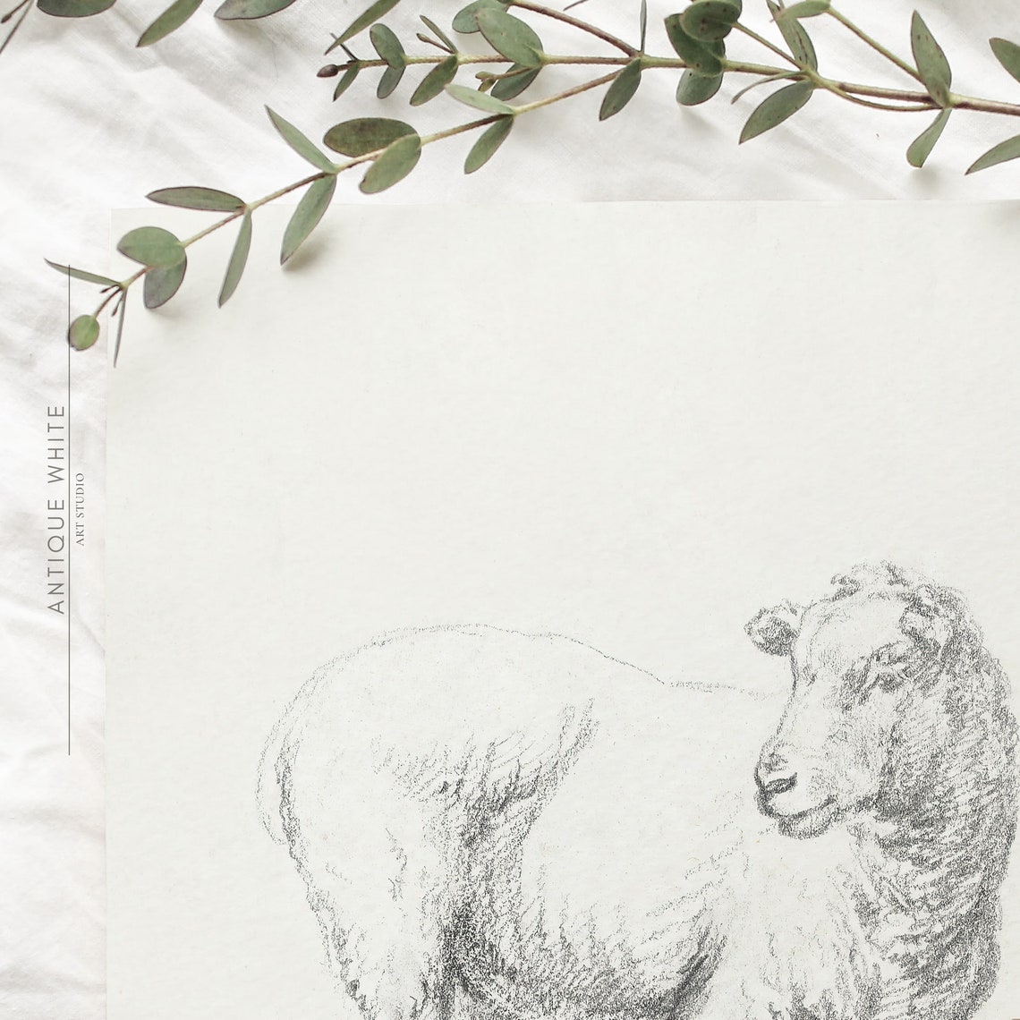Minimalist Sheep Sketch Antique Neutral Line Drawing Animal Wall Art - Image 3