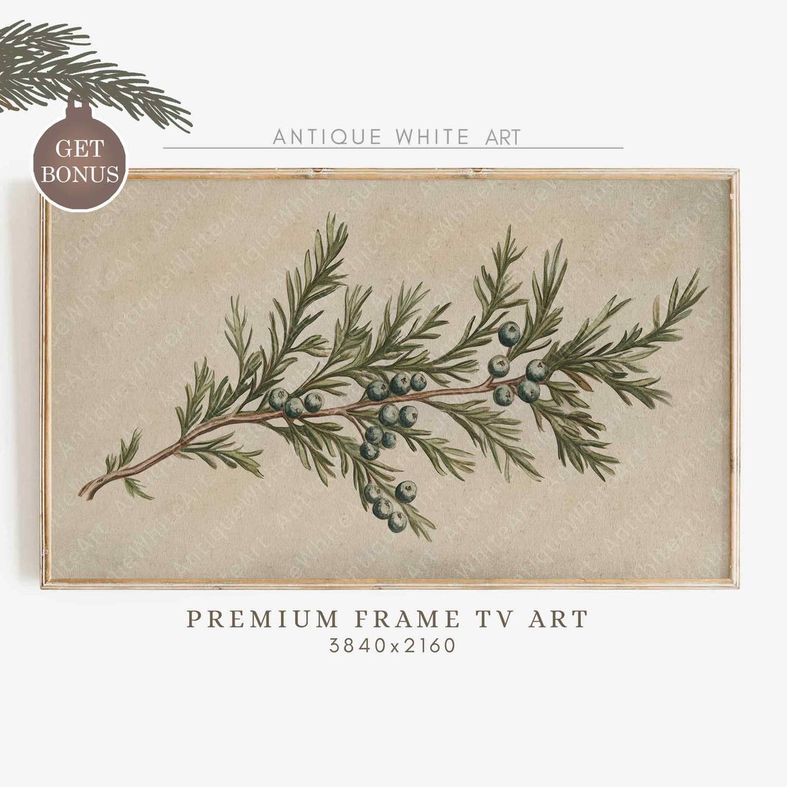 Juniper Branch With Blue Berries Vintage Botanical TV Wall Art