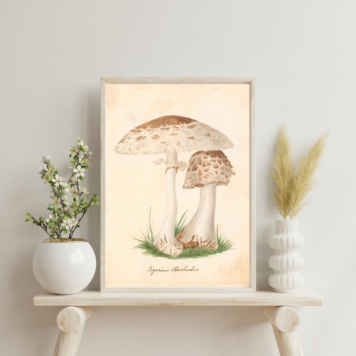 Fungi Botanical Art Print, Vintage Botanical Decor - Image 2