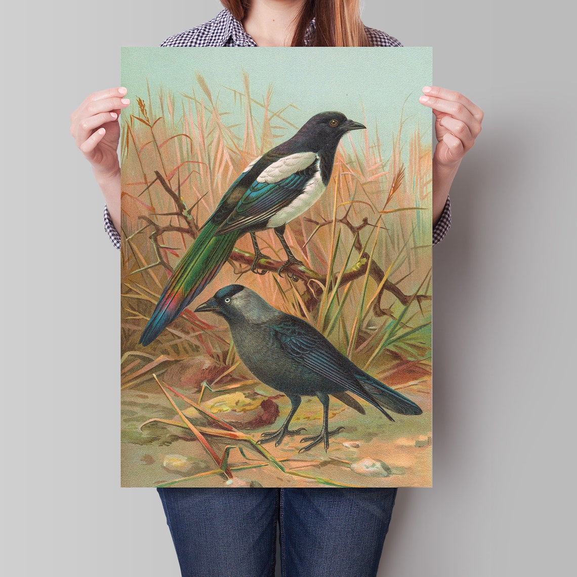 Magpie and Dark Songbird on Branch Vintage Naturalist Bird Art Poster - Image 4