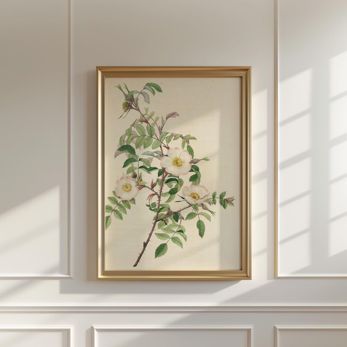 Blush Wild Rose Branch Botanical Study Vintage Floral Poster - Image 5