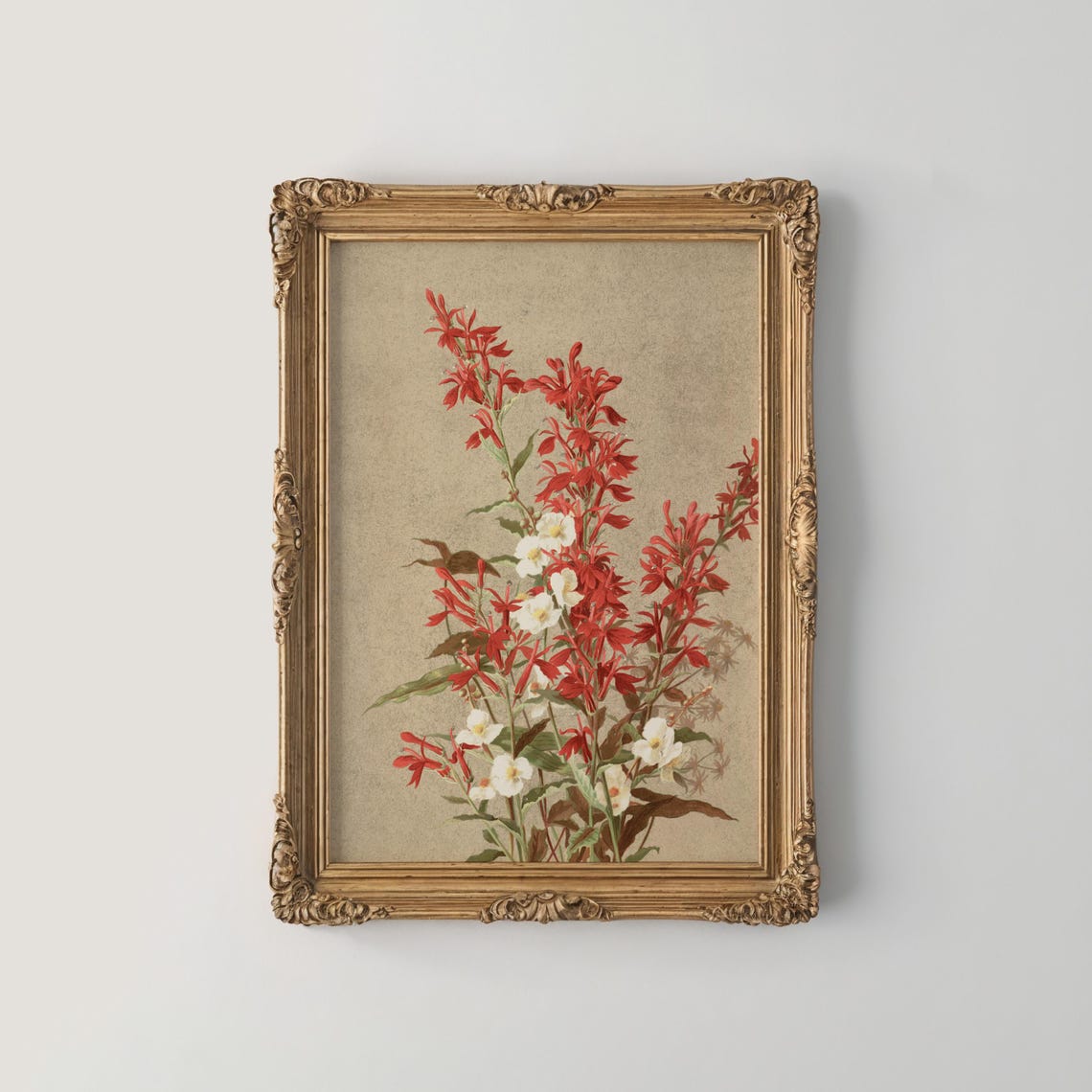 Crimson Monarda Wildflower Cluster in Vintage Botanical Art Poster