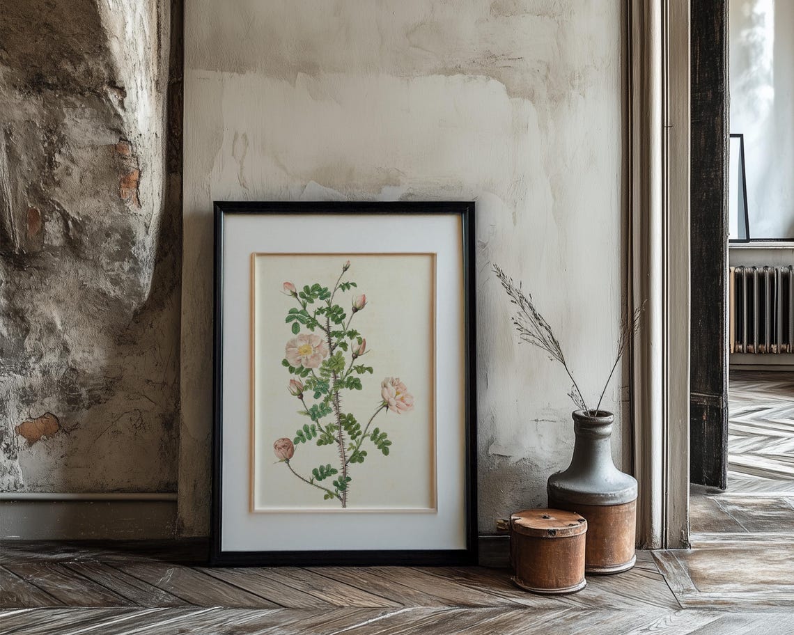 Thorny Briar Rose with Blush Blooms Vintage Botanical Poster - Image 3