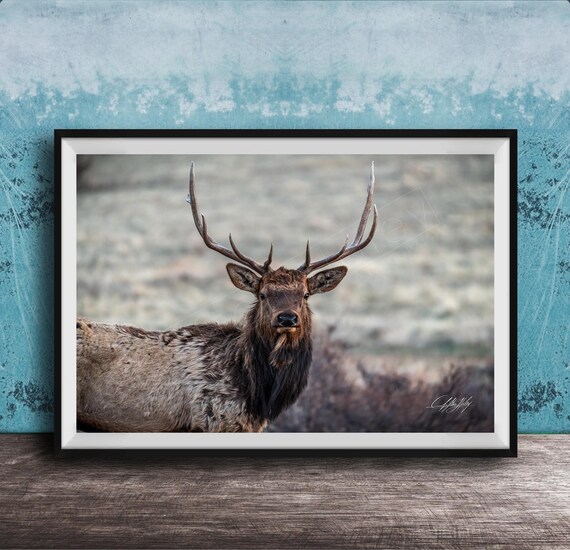 Western Elk Wall Art Rustic Mountain Silhouette Print