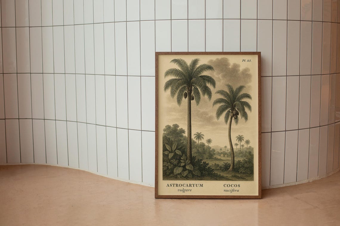 Vintage Palm Tree Botanical Art Print, Tropical Study - Image 3
