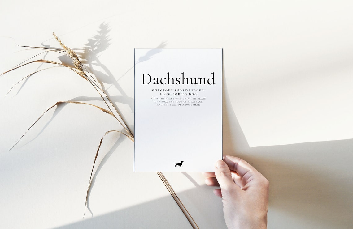 Dachshund Definition Funny Sausage Dog Quote Dog Lover Wall Poster - Image 2