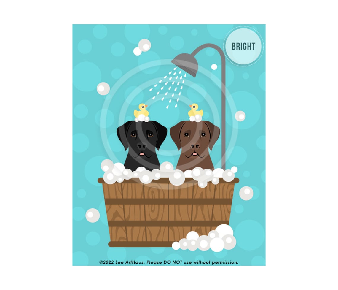 Two Labrador Retrievers In Wooden Tub Under Shower Dog Art Poster