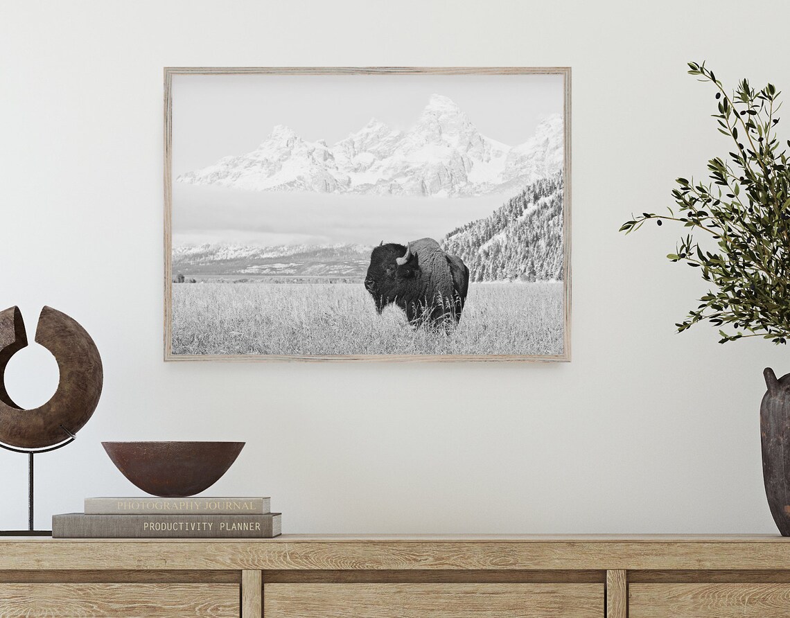 Black and White Bison in Grand Teton Wyoming Art Print - Image 3