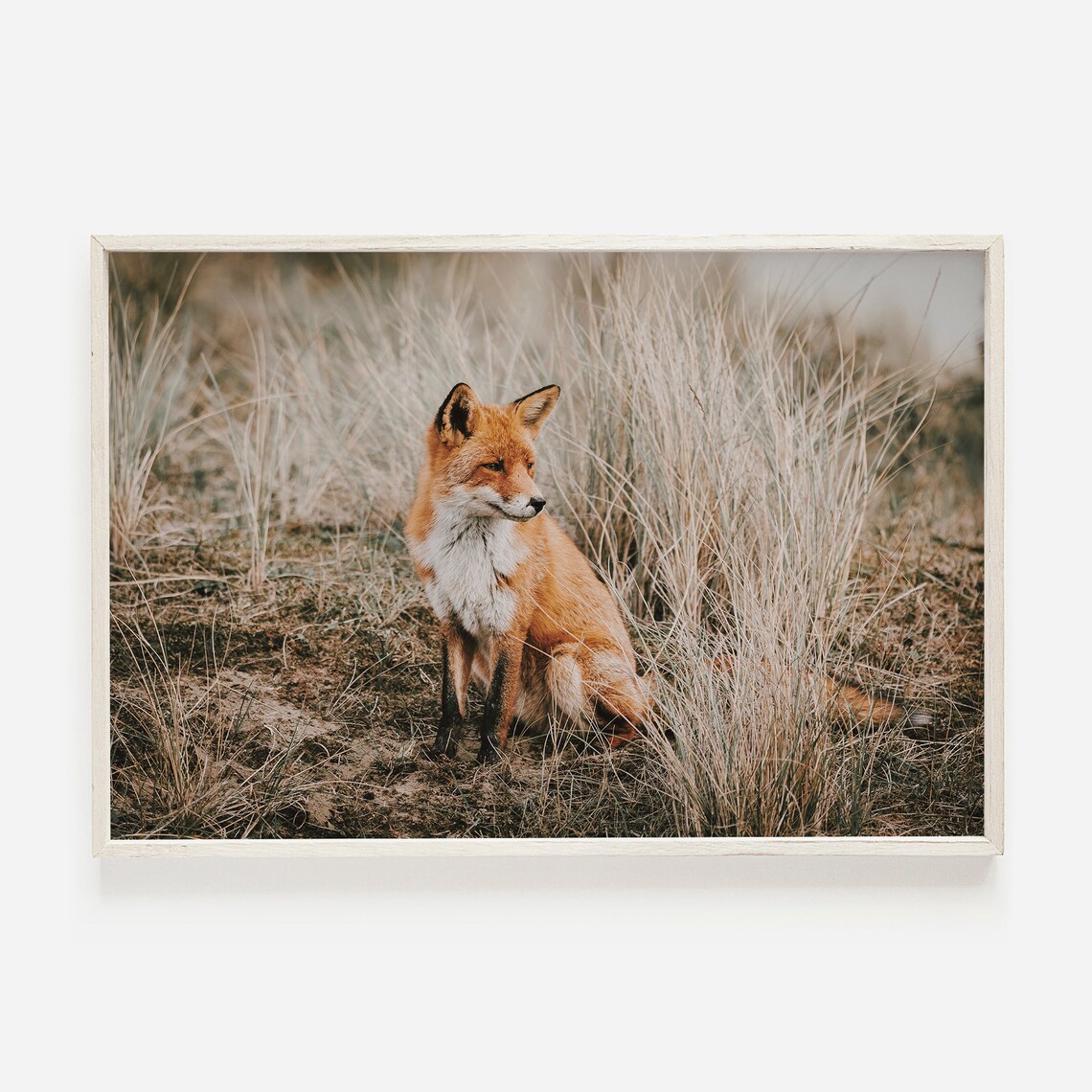 Fox In Field Rustic Home Decor Art Print