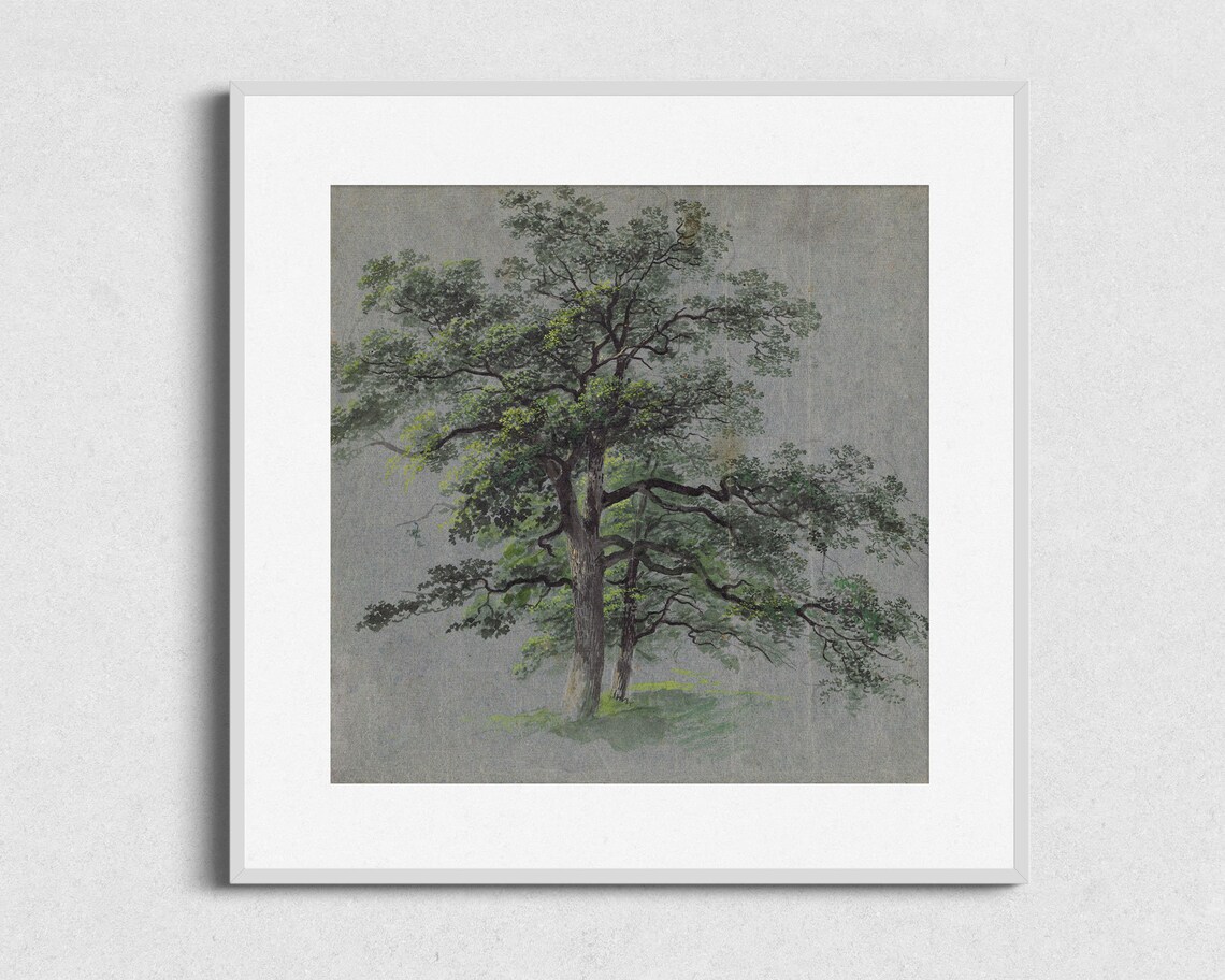 Vintage Tree Sketch Art Print, Nature Wall Decor - Image 2