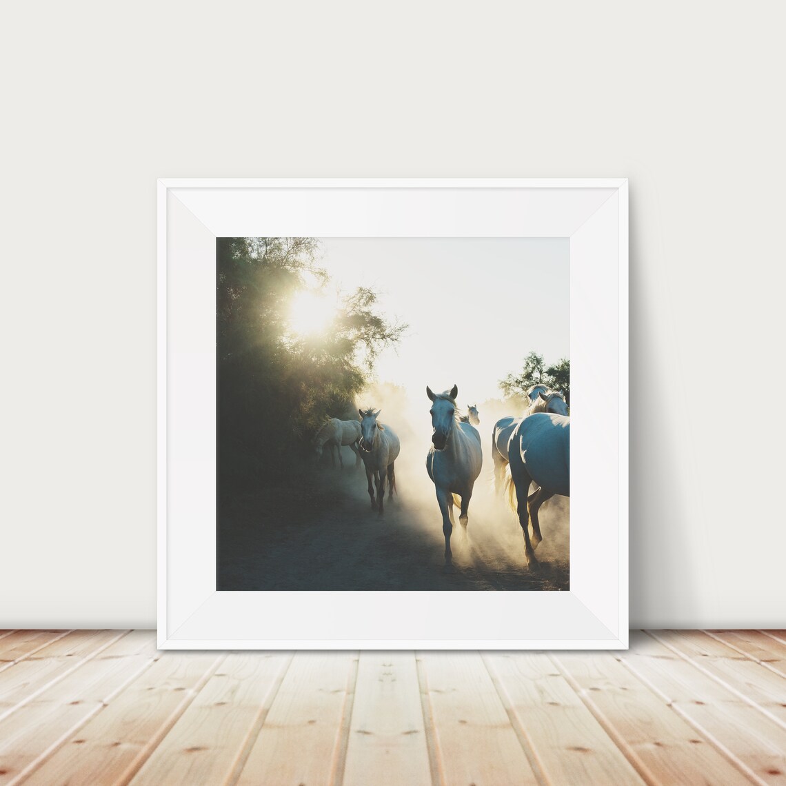 Camargue White Horses Galloping at Sunrise Provence Photo Poster