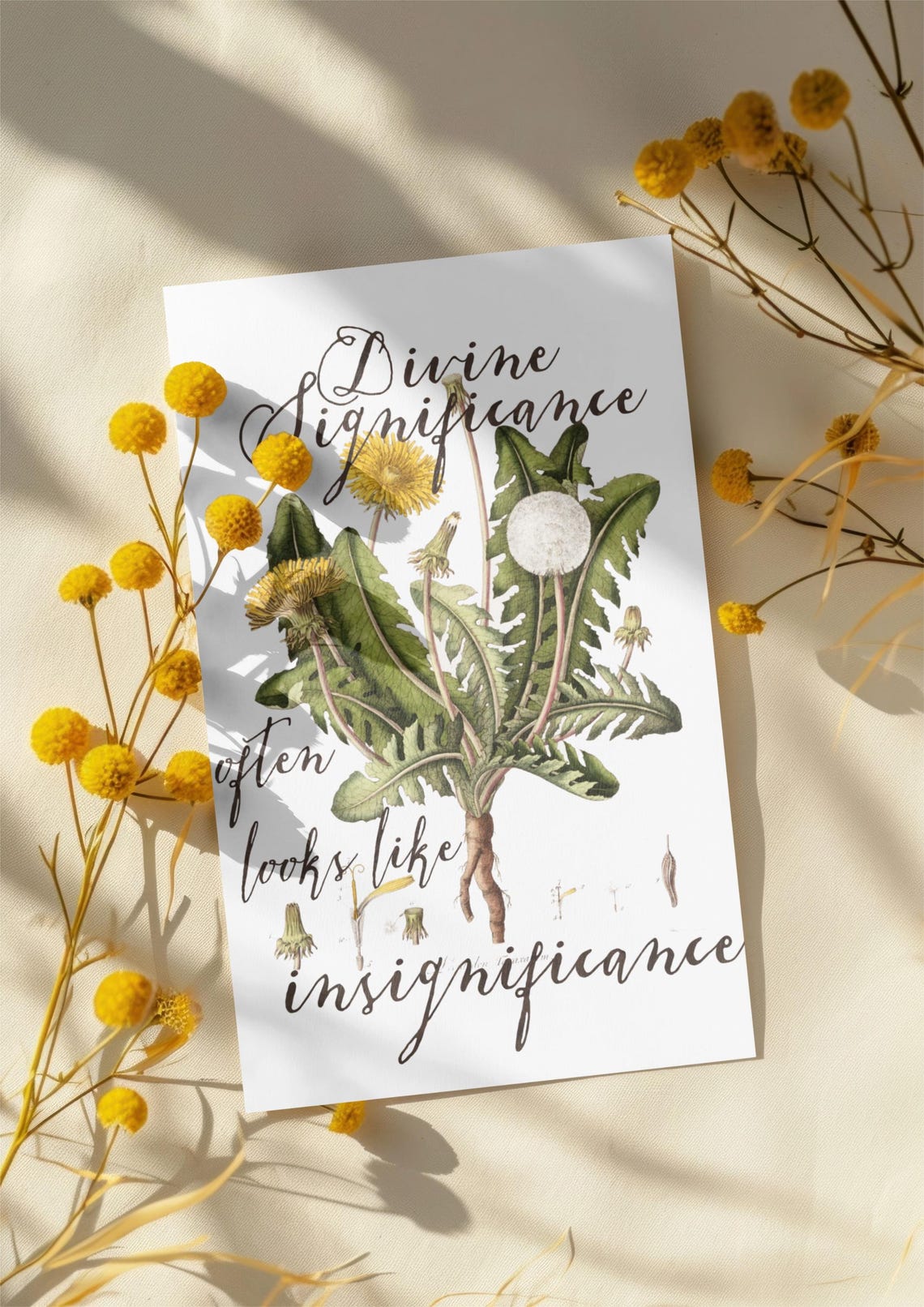 Divine Significance Often Looks Like Insignificance Inspirational Quote Dandelion Art - Image 3
