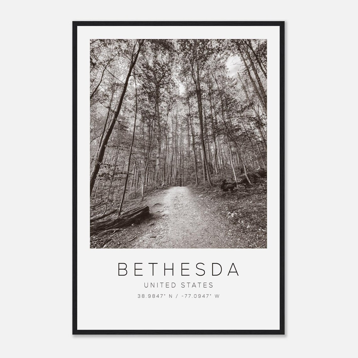 Bethesda United States Black and White Forest Trail Photo Poster