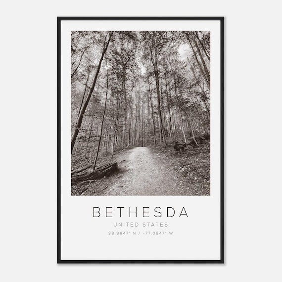 Bethesda United States Black and White Forest Trail Photo Poster