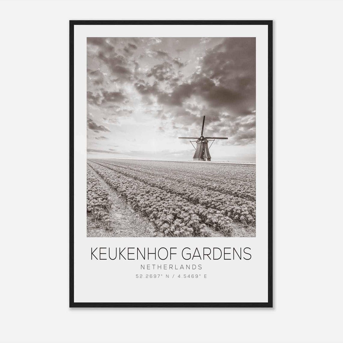 Keukenhof Gardens Netherlands Black White Tulip Fields Poster