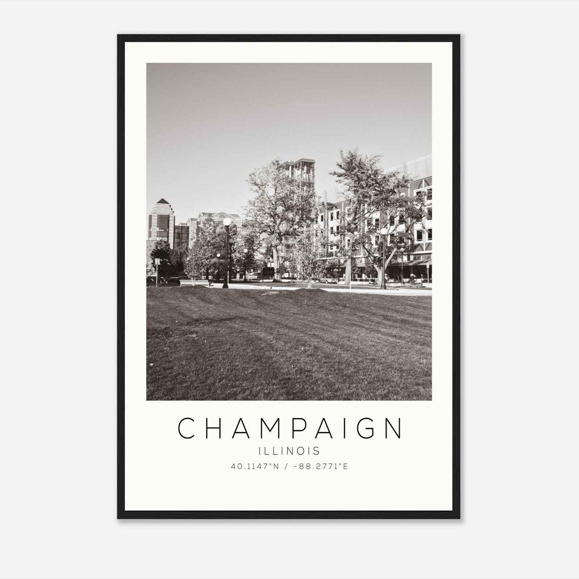 Champaign Illinois Downtown Plaza Lawn Skyline City Photo Poster