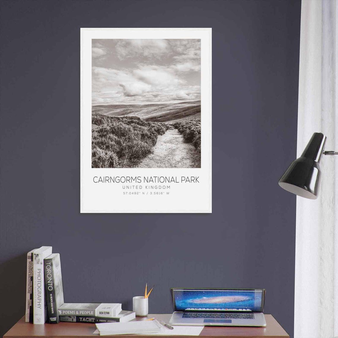 Cairngorms Scotland Highland Moor Trail Black White Photo Poster - Image 3