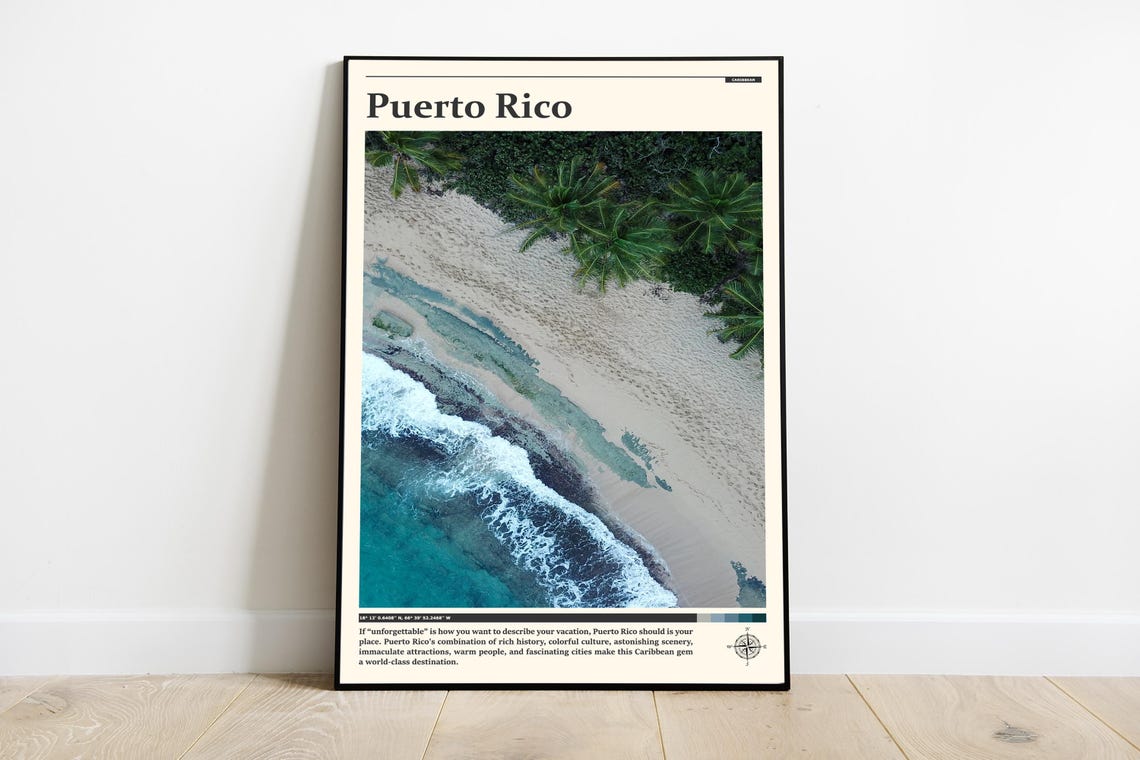 Puerto Rico Aerial Beach Palm Trees Turquoise Waves Photography Poster