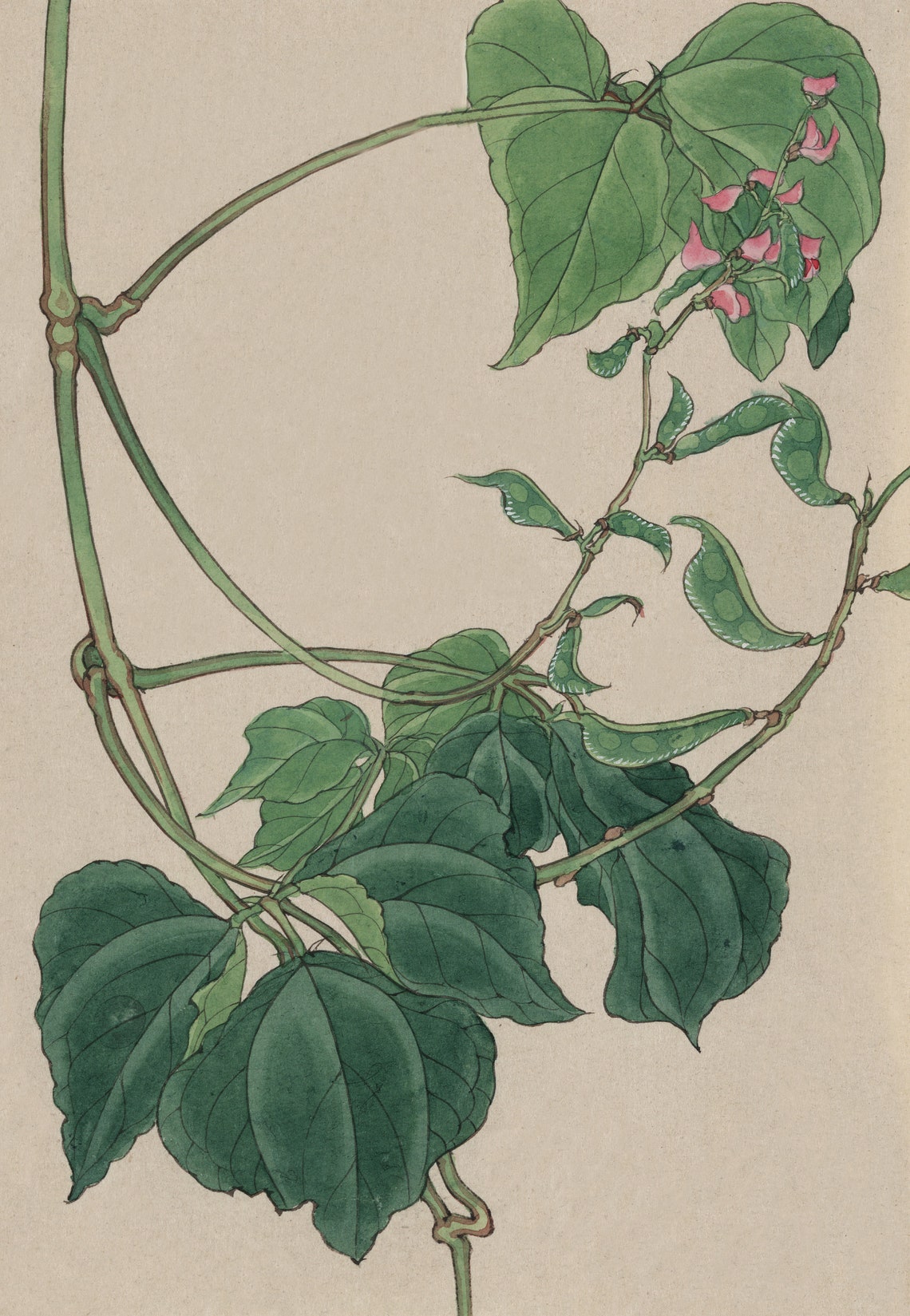 Japanese Plants and Frog, Vintage Art Deco Poster - Image 3
