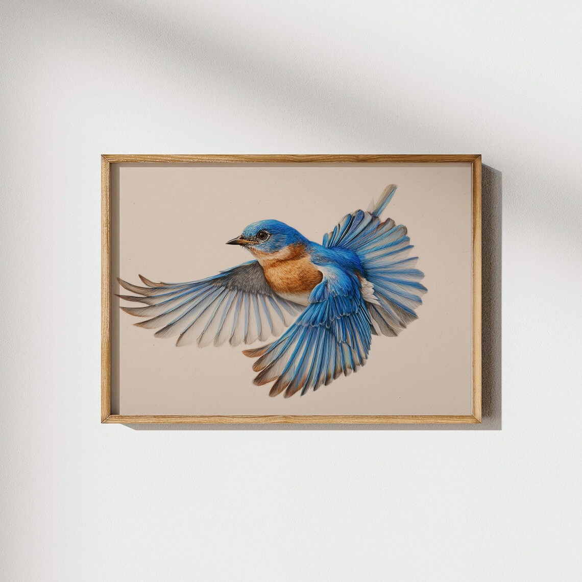 Beautiful Eastern Bluebird in Flight Watercolor Illustration Poster