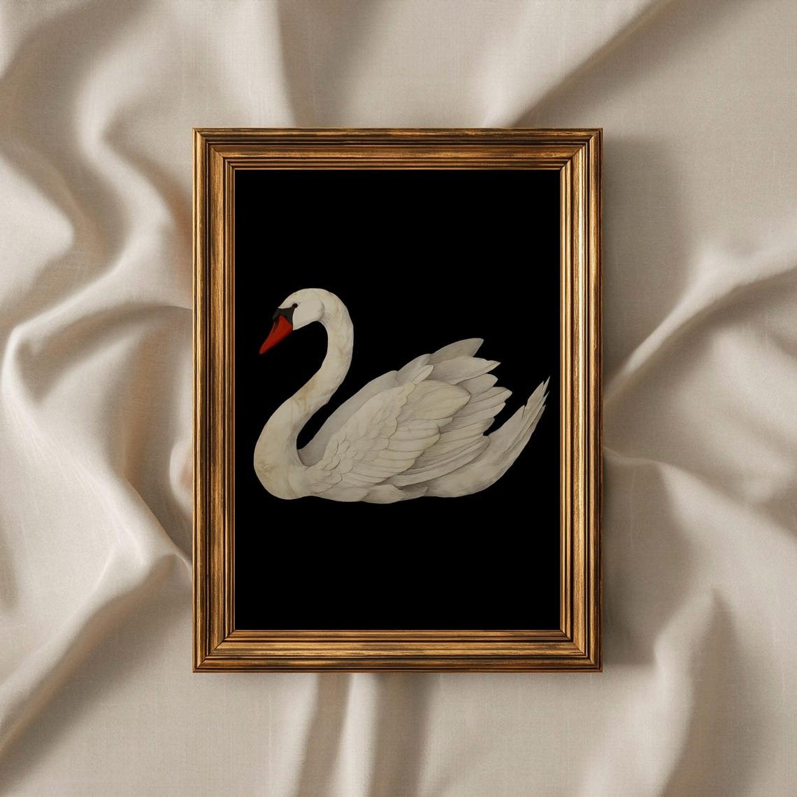 Serene White Swan Classic Portrait On Black Background Art Print