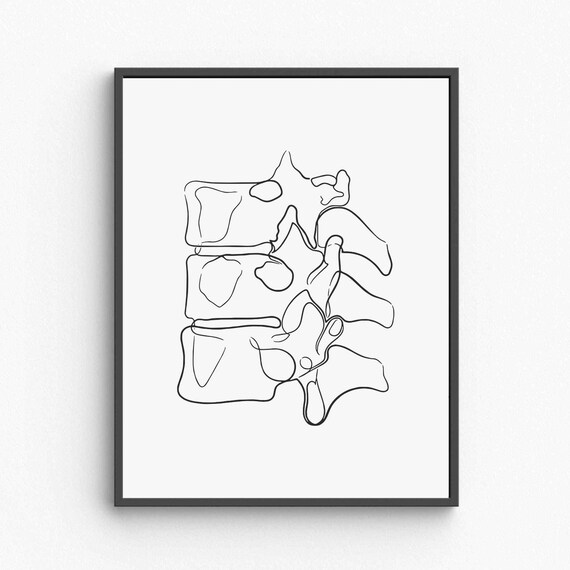 Minimalist Spine Anatomy Line Art Medical Print Chiropractic Office Decor Wall