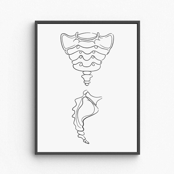 Minimalist Sacrum Coccyx Line Art Spine Anatomy Print Chiropractic Wall Decor Medical