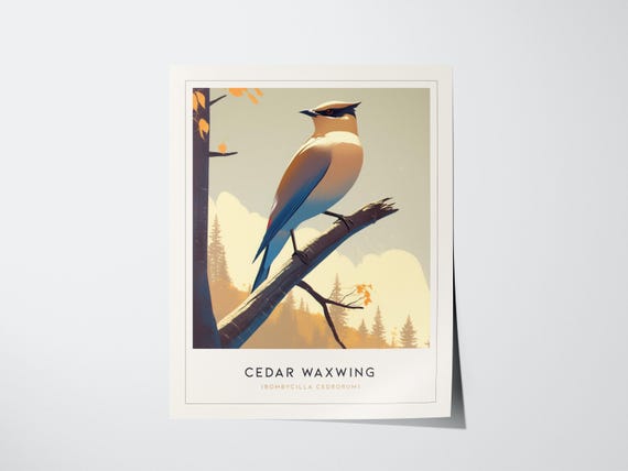 Cedar Waxwing Print Elegant Bird Wall Art For Nursery Or Office