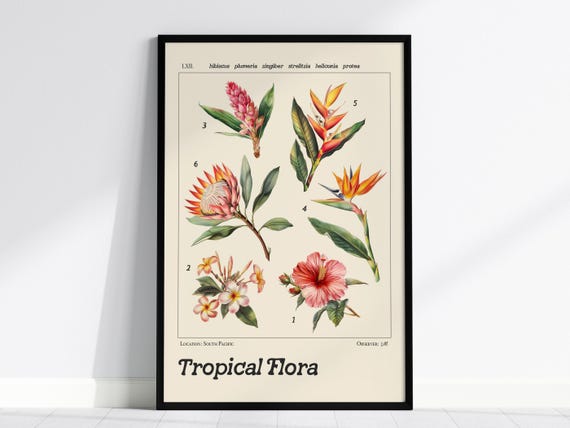 Tropical Flower Print, Vintage Botanical Illustration