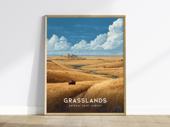 Grasslands National Park Canada Golden Bison Prairie Sky Poster