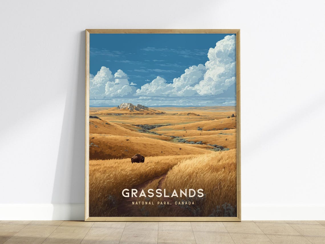 Grasslands National Park Canada Golden Bison Prairie Sky Poster