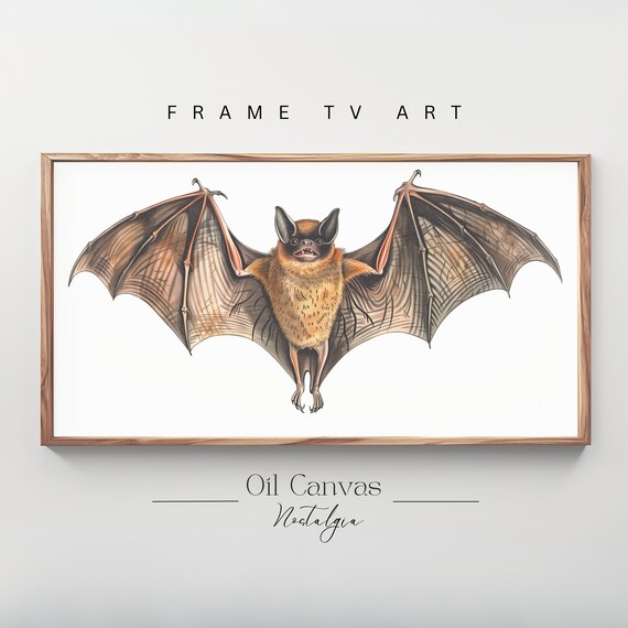 Vintage Bat Illustration Halloween Spooky Natural History Art Print