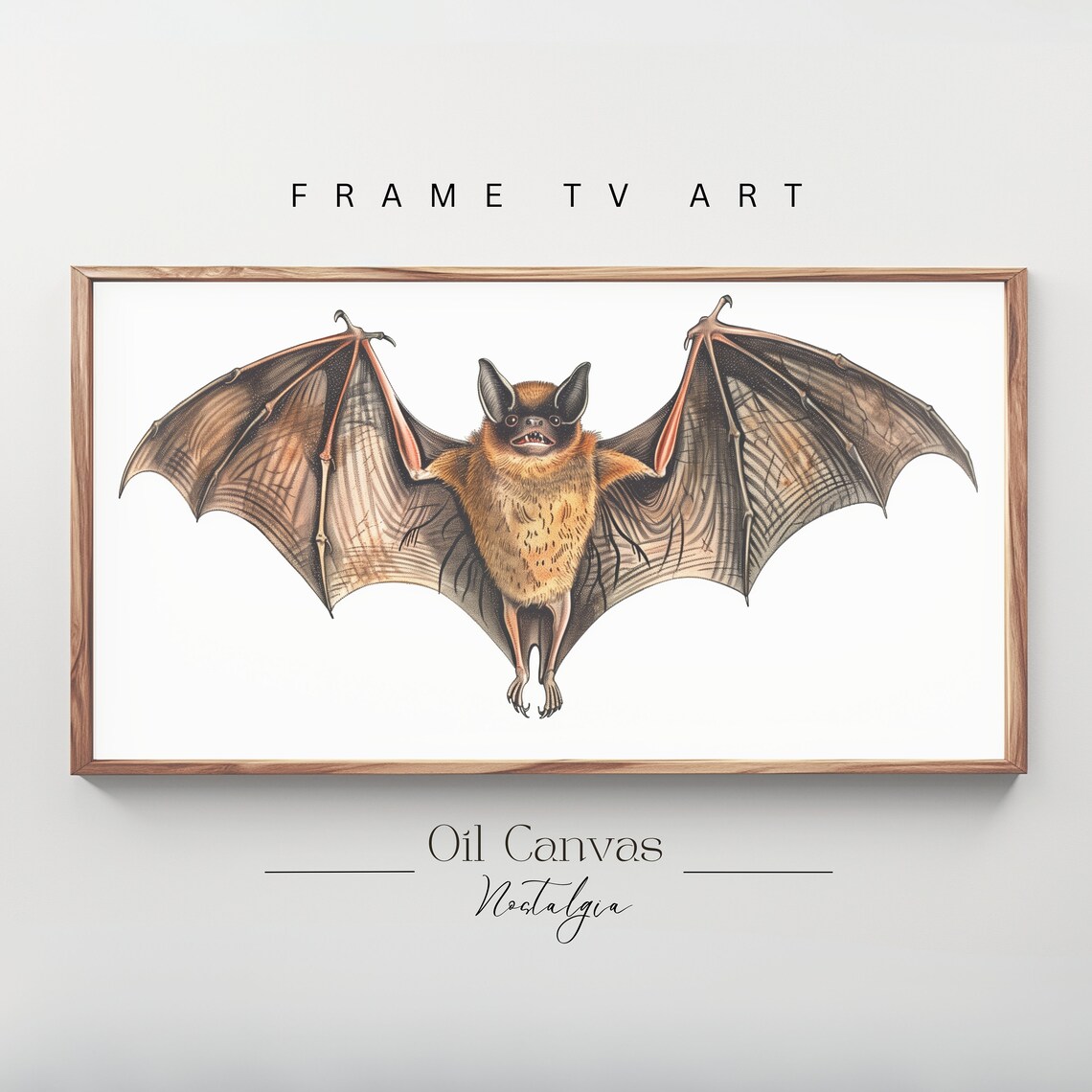 Vintage Bat Illustration Halloween Spooky Natural History Art Print