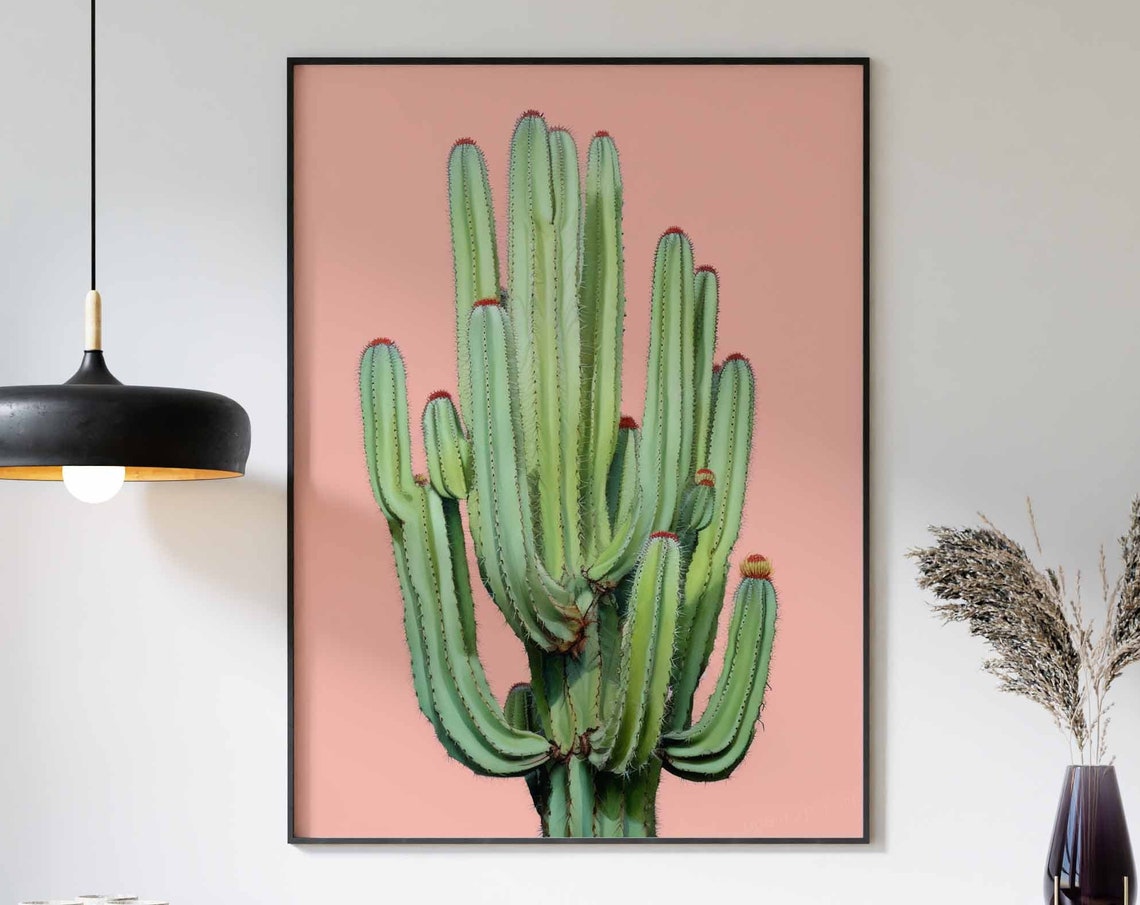 Fan-Shaped Cactus with Red-Tipped Buds on a Peach Backdrop Poster