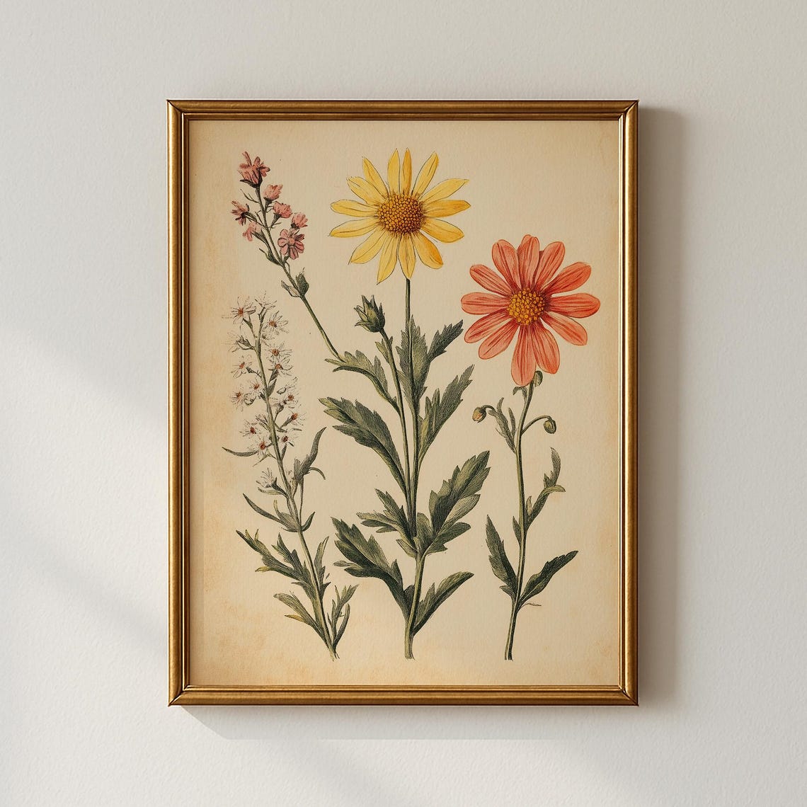 Vintage Wildflower Botanical Sketch Daisy Collection Art Poster