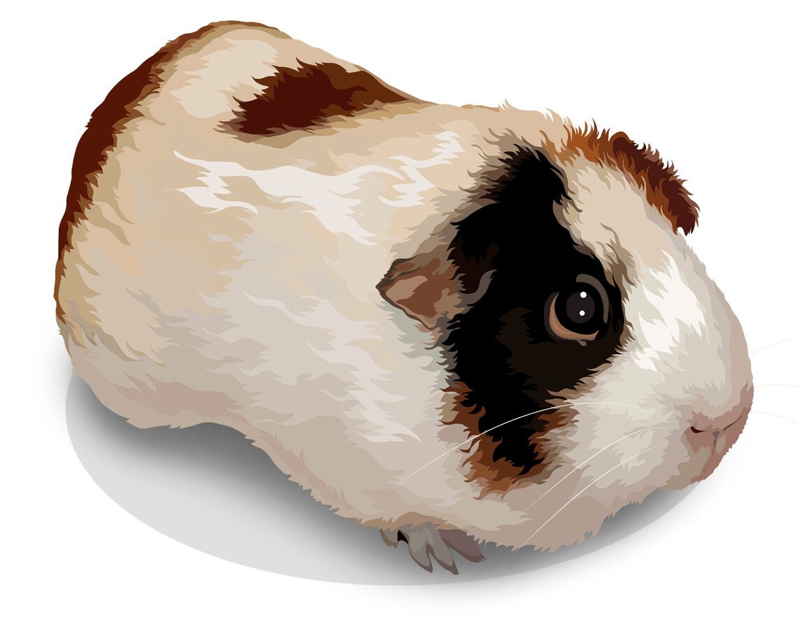 Custom Regal Guinea Pig Portrait Royal Style Pet Lover Gift Print