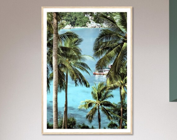Tropical Coast Turquoise Water Framed By Palm Trees Photo Poster