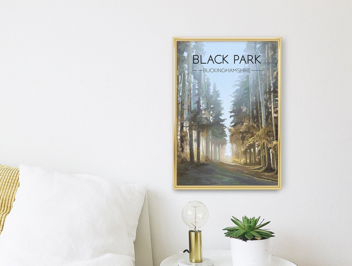 Black Park Buckinghamshire Towering Pine Forest Trail Poster - Image 3