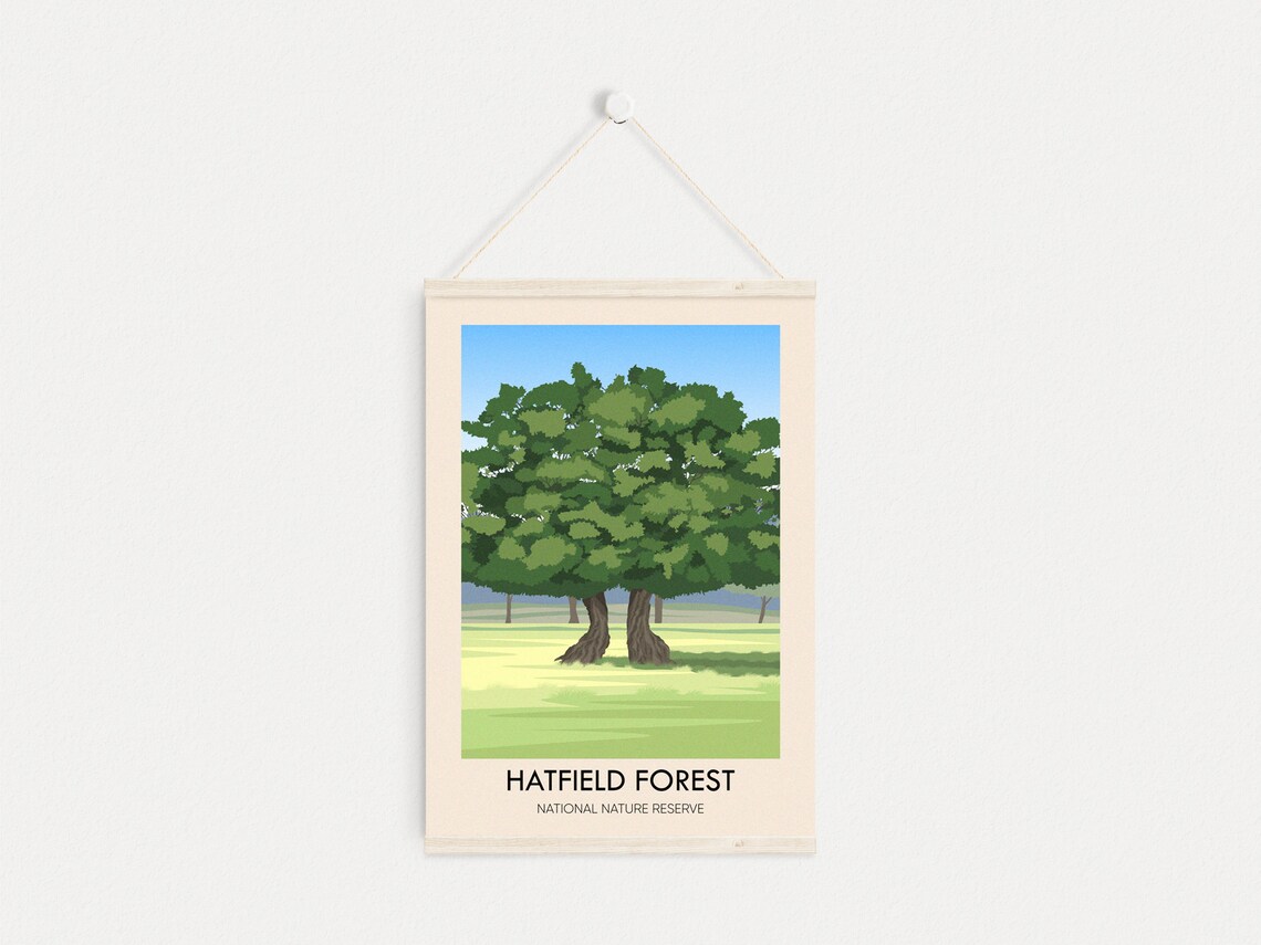 Hatfield Forest National Nature Reserve Oak Tree Vintage Travel Poster - Image 4