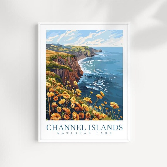 Channel Islands National Park Wildflower Cliffs Ocean Day Travel Poster