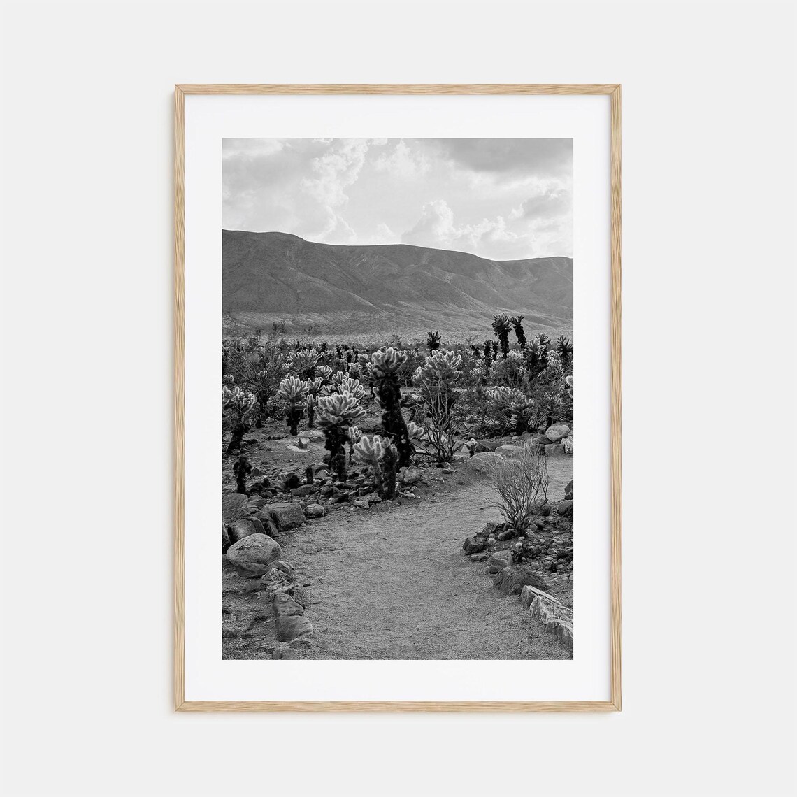 Joshua Tree National Park Cholla Cactus Black and White Poster