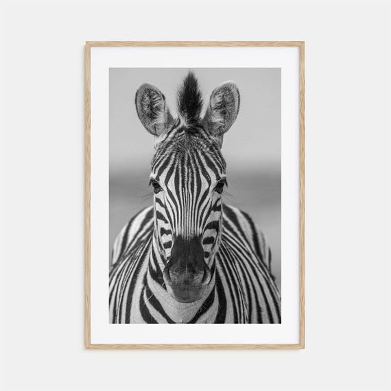 Zebra Photo Poster Print No 3 Zebra Black And White Wall Art Zebra Wall Photography Zebra Travel Zebra Map Poster
