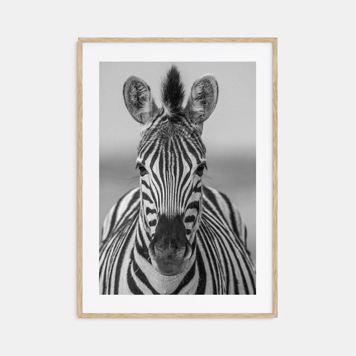 Zebra Photo Poster Print No 3 Zebra Black And White Wall Art Zebra Wall Photography Zebra Travel Zebra Map Poster