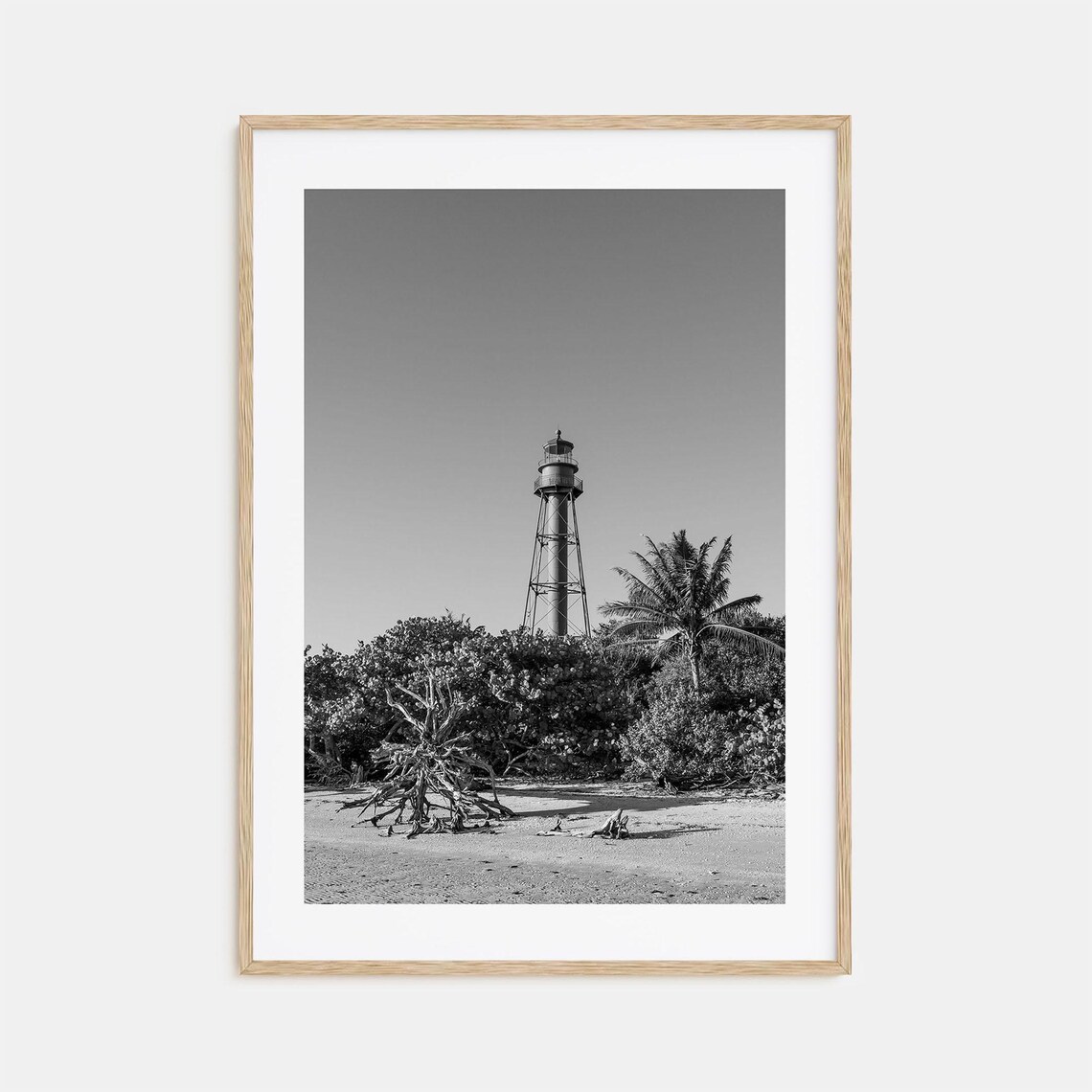 Sanibel Island Lighthouse Beach Driftwood Black And White Poster