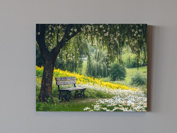 Willow Tree In Spring Calm, Relaxed Scene