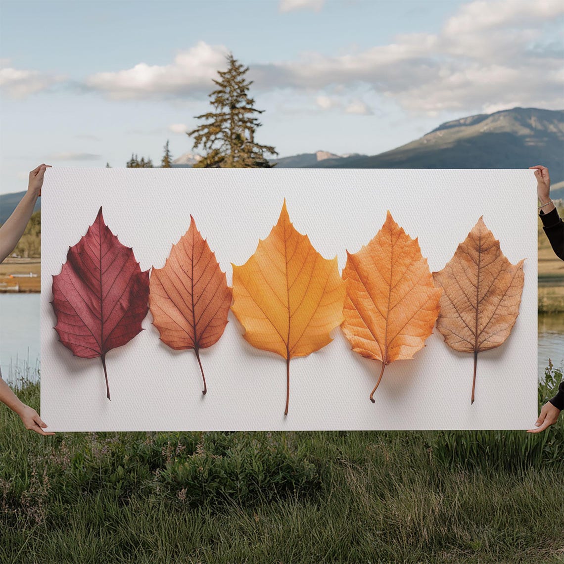 Autumn Leaf Color Gradient Study Crimson To Amber Botanical Art Poster