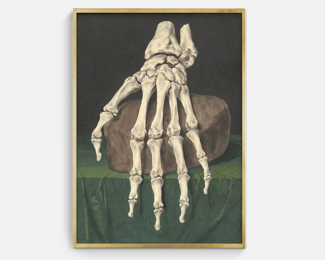 Vintage Anatomical Skeleton Hand Draped Over Stone Dark Gothic Art Poster