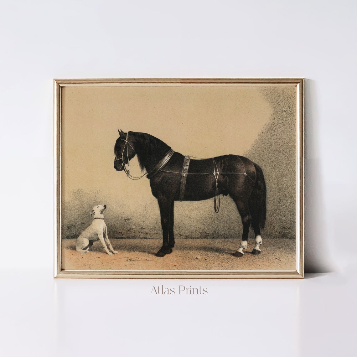 Noble Black Horse With White Dog Vintage Equestrian Wall Art