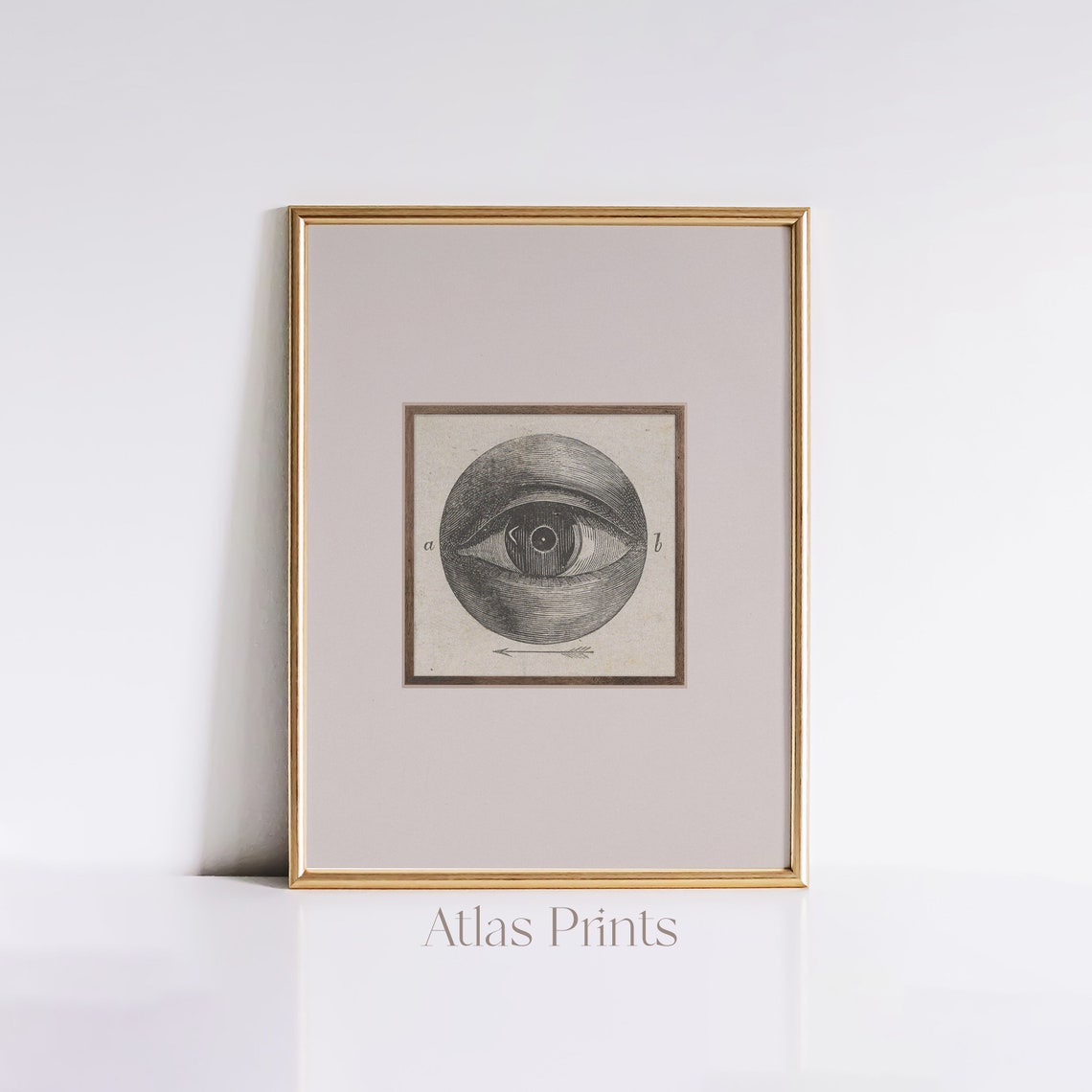 Odd Vintage Engraved Eye Diagram Surreal Antique Anatomy Poster